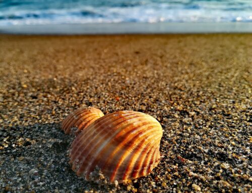 Urlaub