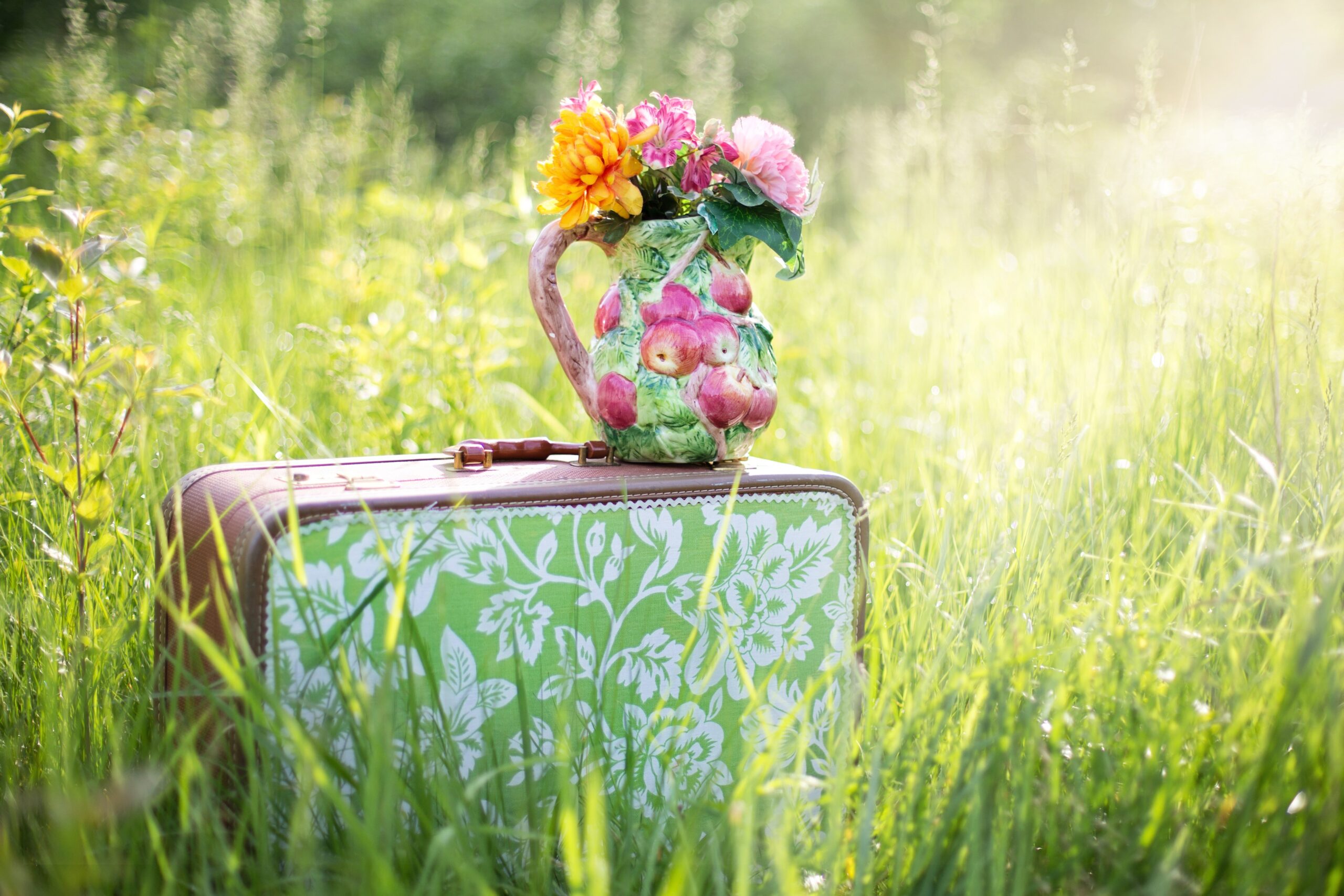 jillwellington-summer-still-life-785231